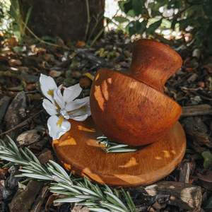 Wooden Mortar and Pestle - Mushroom