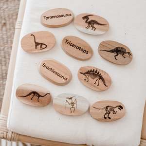 Qtoys | Dinosaur Stone Set