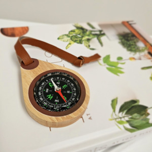 Q Toys: Qtoys | Wooden Compass