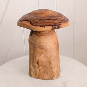 Nature Play: Large Teak Mushroom Style #2