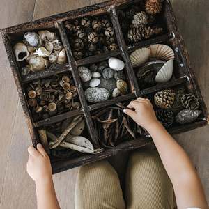 Bowls And Trays: Wooden Sorting Tray - Extra Large