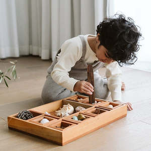 Scoops And Fine Motor Tools: Wooden Classification Tray with Tongs