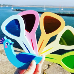 Tender Leaf Toys | Peacock Colours