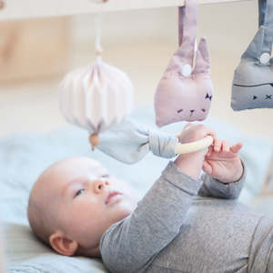 Organic Cotton Snap Animal Rattles | 2 Colours