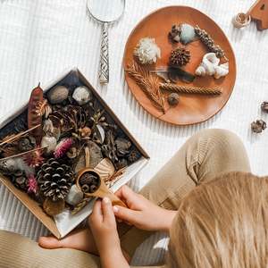 Natural Treasures - Large Sensory Box