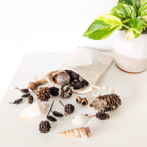 Aotearoas Natural Treasures: Nature's Treasure Pouch