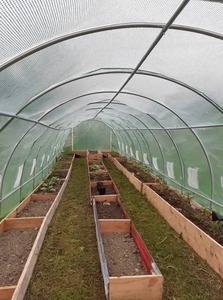 Tunnelhouse 12x3M