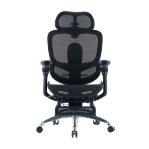 Sihoo Doro C300 Pro V2 Ergonomic Office Chair