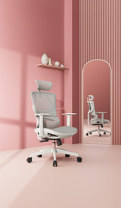 Sihoo M91C Ergonomic Office Chair (Light Gray) (Lady/Teen version of M90C)