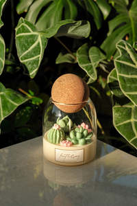 Terrarium Candles: Odelia's Garden - Terrarium Candle