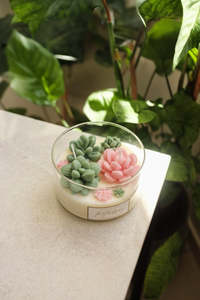 Meira's Garden - Terrarium Candle