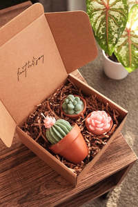 Bundle Boxes: Potted Succulents Candle Bundle
