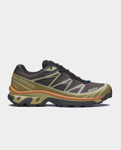 Footwear: Salomon - XT-6 Gore-Tex Shoe - Delicioso/Tea/Plantation