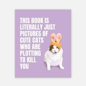 This Book is Literally Just Pictures of Cute Cats Who Are Plotting to Kill You