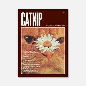 Catnip Magazine