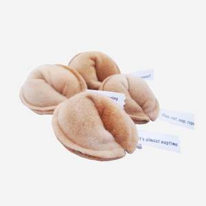 Cat Toys: Organic Catnip Toy - Fortune Cookie