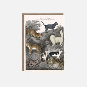 Cat Card - Quadrupeds