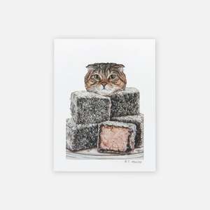 Cat Art: Cat Art Print - Lamington Fold