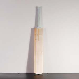 #528 FPS1 Size 5 G2/EW Bat - 2lbs 0.4oz