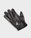 The Black Biridie Glove