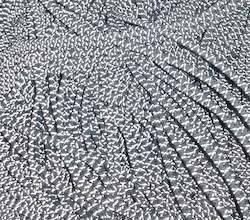 Frontpage: Power Bungy Reflective 50m, 6 S/S strands (R50)