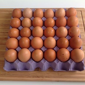 Free Range Eggs - tray of 30 - Farmhealth Services