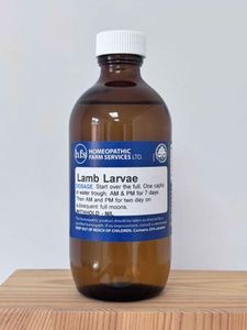 Lamb larvae