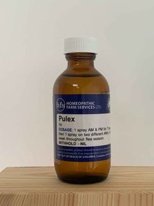 Pulex