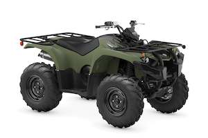 Atv 1: Kodiak 450 EPS