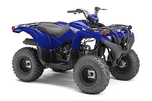 Kids Atv: GRIZZLY 90