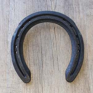 Steel Shoes: Vulcan Roller Motion - Front