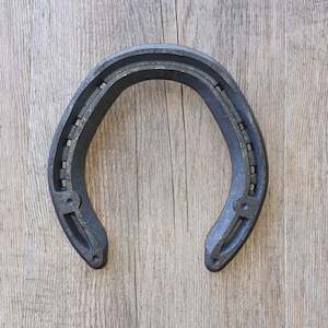 Steel Shoes: Vulcan Quality Competition - Hind