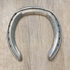 Aluminium Shoes: Thoro'bred Silver Queen