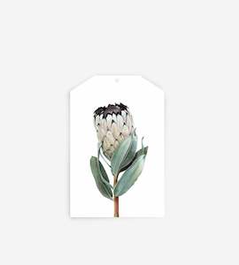 Father Rabbit Stationery | Gift Tag | Protea