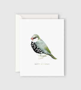 Brilliant Birds: Father Rabbit Stationery | Happy Birthday Bird Card