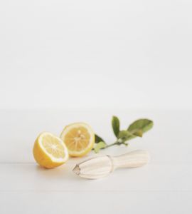 Wooden Citrus Juicer