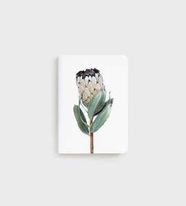 Father Rabbit | B7 Pocket Notebook | Protea
