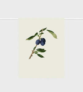 New In Home: Lettuce | Tea Towel | Plums