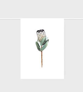 Father Rabbit 1: Father Rabbit | Tea Towel | Protea