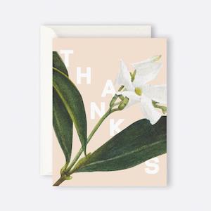 Father Rabbit Thank You Cards: Father Rabbit Stationery | Card | Jasmine Thanks