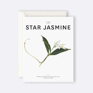Father Rabbit Birthday Cards: Father Rabbit Stationery | Card | The Star Jasmine