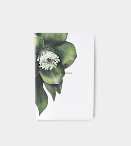 Father Rabbit Notebooks: Father Rabbit Stationery | Notebook | Hellebore