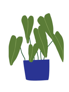 Lettuce Everyday Cards: Lettuce | Card | House Plant