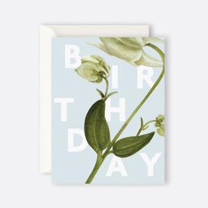 Father Rabbit Birthday Cards: Father Rabbit Stationery | Card | Floral Birthday