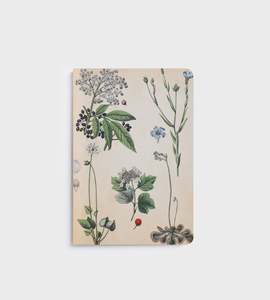 Notebook | Field Botany