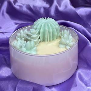 Fayora Essential Candle Collection: Succulent Bowl Candle