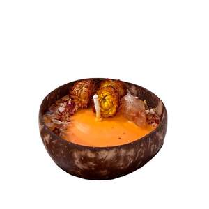 Fayora Essential Candle Collection: Cittine Coconut Candle