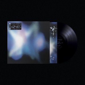 Products: Soft Power - Exclusive 'Flying Nun Black' LP - Fazerdaze