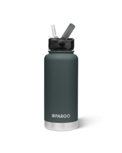Project Pargo 950mL Insulated Bottle w/ Straw Lid - BBQ Charcoal