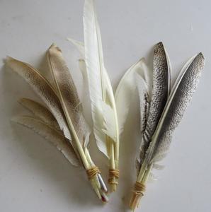 Products: Three Pairs of Turkey Primary Wing Feathers - Feathergirl